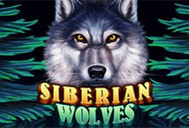 Siberian Wolves